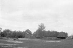 negatyw-4-17_1024_x_768