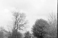 negatyw-46-26_1024_x_768