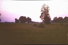 slajd-3.14_1024_x_768