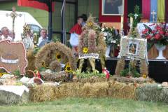 IMG_2309_1024_x_768