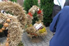IMG_7363_1024_x_768