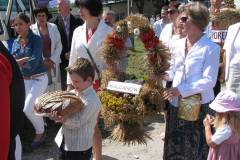 IMG_7381_1024_x_768