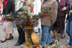 IMG_8168_1024_x_768