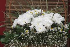 IMG_5608_1024_x_768