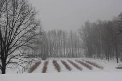 fot.-e-piwek-22_1024_x_768