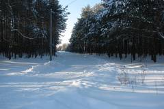 fot.-e-piwek-5_1024_x_768