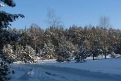 fot.-e-piwek-8_1024_x_768